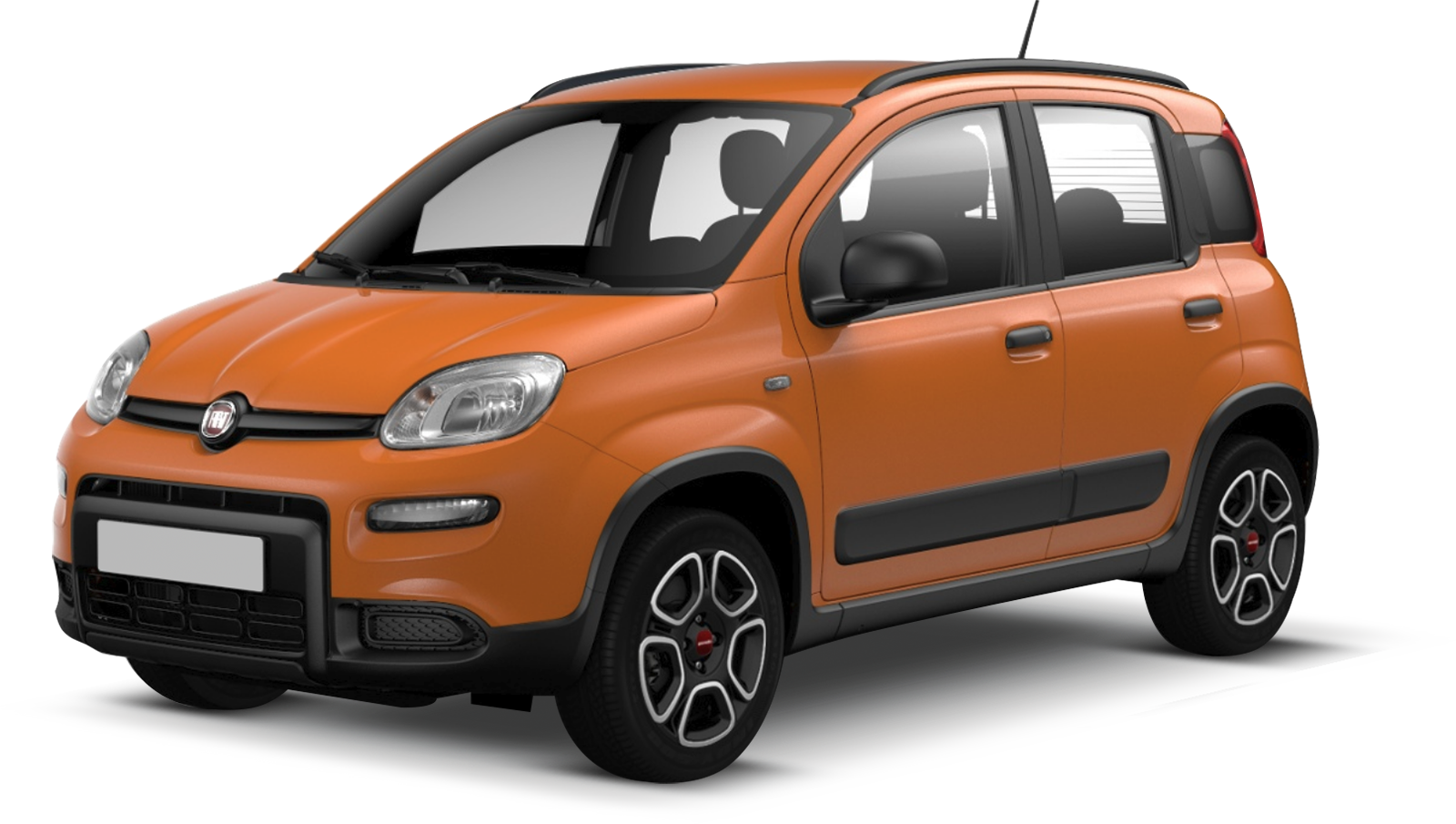 noleggio auto